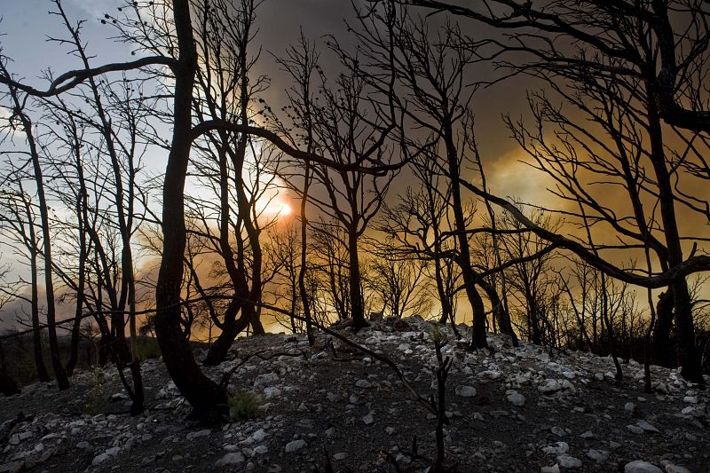 LA UME Y EFECTIVOS DE ARAGÓN LUCHAN CONTRA EL FUEGO EN UN CAMPO DE MANIOBRAS