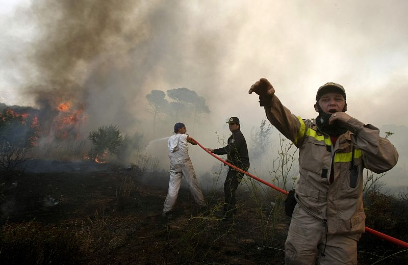 Volunteers and firemen extinguish a bush fire in Pedeli suburb north of Athens