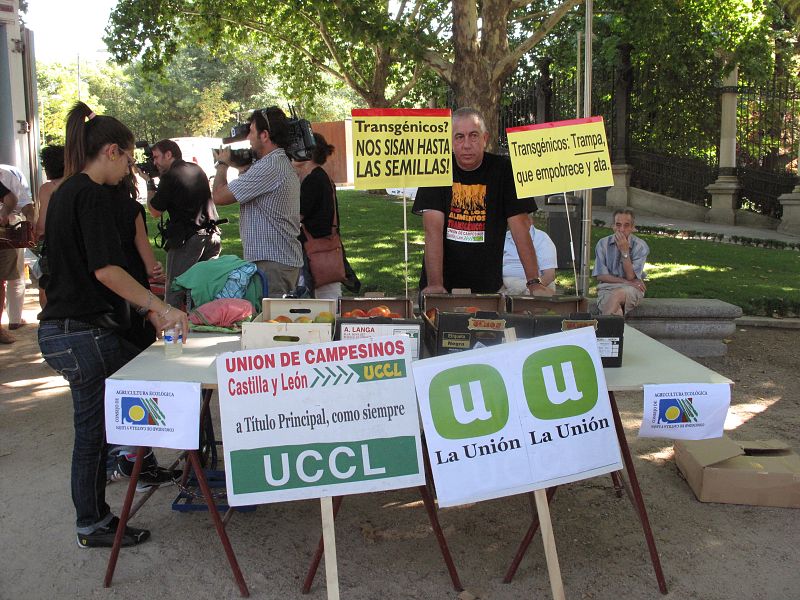 Tolerancia cero a los productos transgénicos