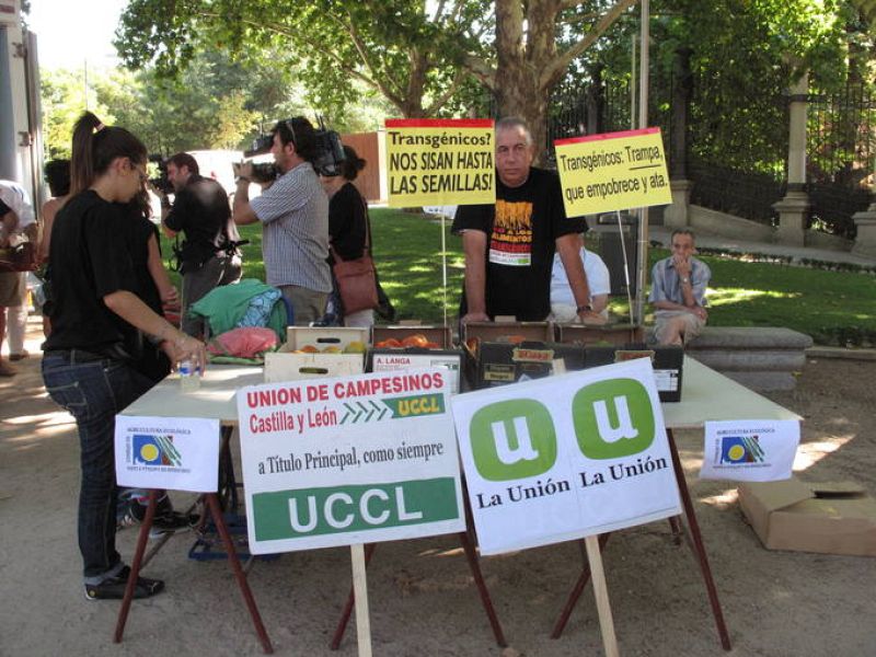 Tolerancia cero a los productos transgénicos