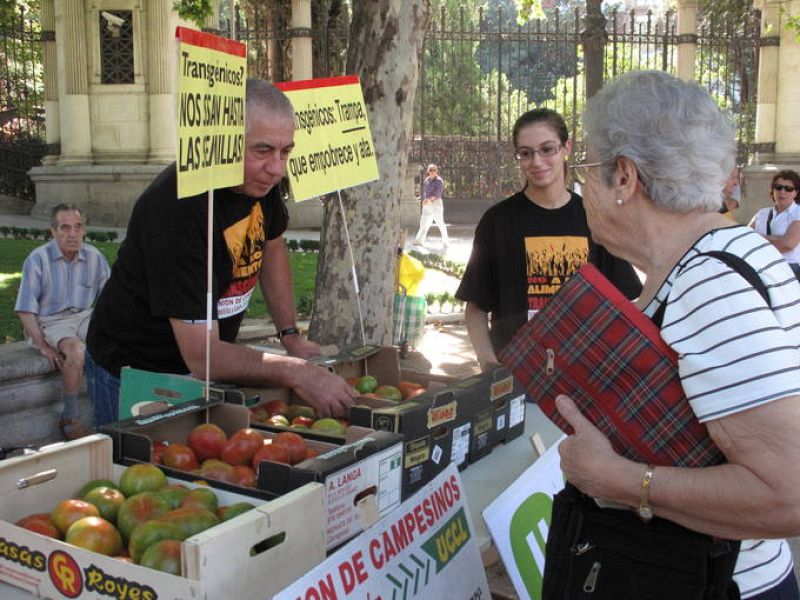 No a los transgénicos2