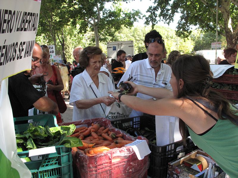No a los transgénicos4