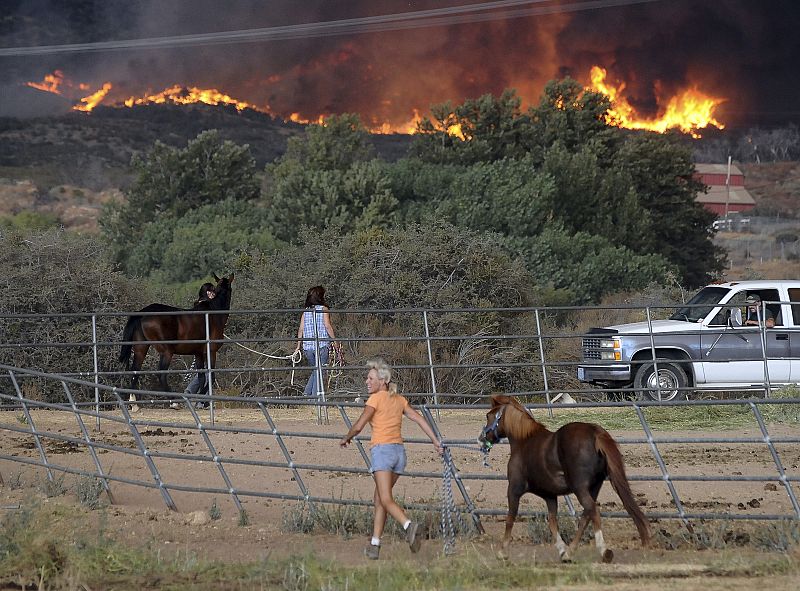 Con las llamas a la vista, muchos residentes evacúan a sus caballos, para alejarlos del peligro del fuego.