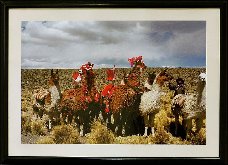 El "Camino del Señor", también conocido como "el gran camino inca", se extendía por las montañas del actual Perú, uniendo sus lugares más emblemáticos