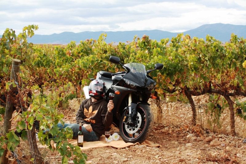 Ana Gonzaga Murillo.