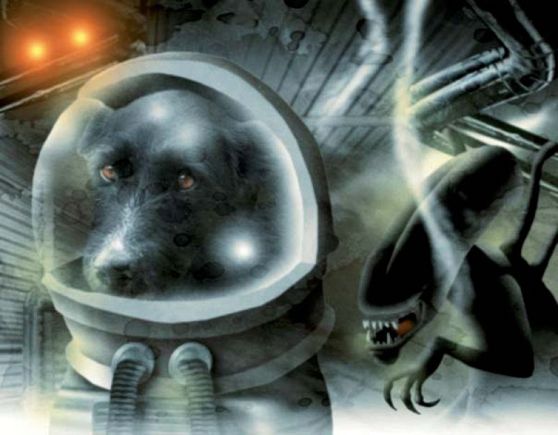 La teniente Raquel aterrizó en El Refugio en el año 2004. Esta suboficial bien educada aguarda ansiosa su nuevodestino pues le encanta conocer nuevos universos.