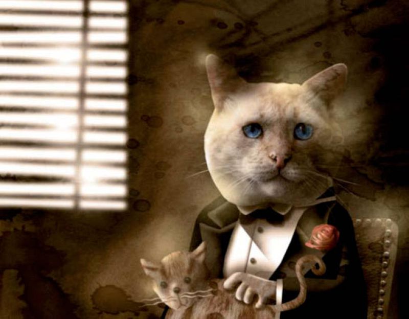 Bruma es El Padrino. Tranquilo y de andares seguros y pausados, Don Bruma se declara amante de la música clásica y aficionado a los programas de debate. Su imponente presencia física, y ser un gato de honor, le ha valido su nombramiento como jefe de 