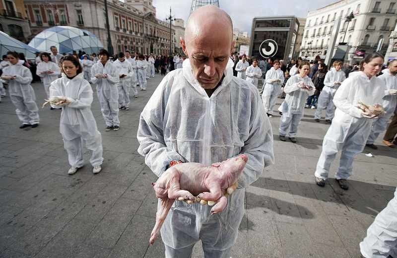 Entre los cadáveres animales, un zorro, en protesta del trato a los animales.