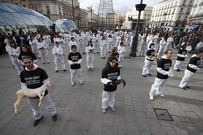 Mientras los activistas sujetaban los cadáveres un miembro de la organización pedía con un altavoz al público que pensara por qué nadie defendía a estos animales.