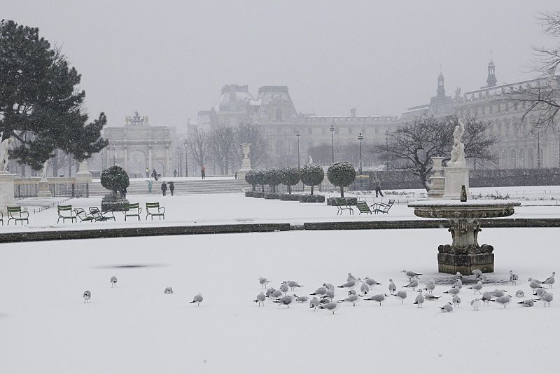 Vista general del jardín de las Tullerías en París.