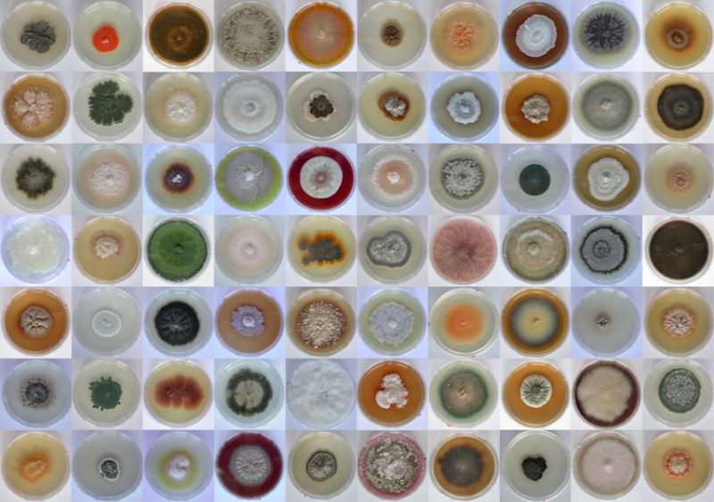 Primer Premio en la categoría General dotado con 2.400¿