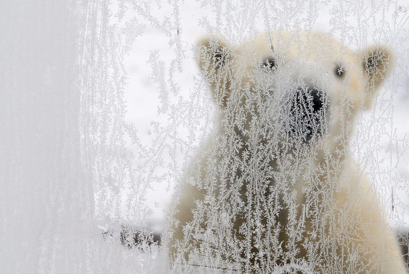 OLA DE NIEVE EN ALEMANIA