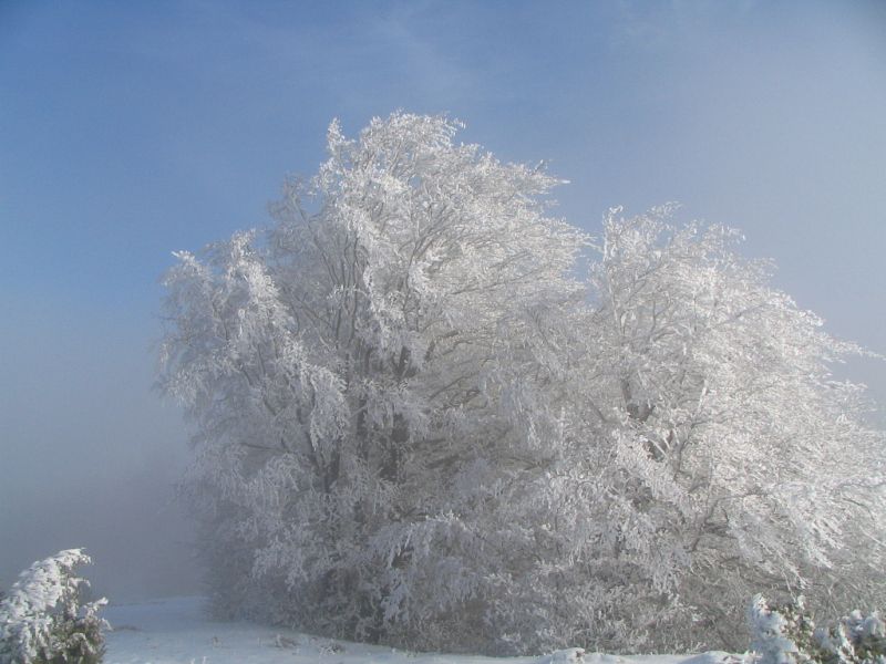 Nevada en Puigsacalm, Girona