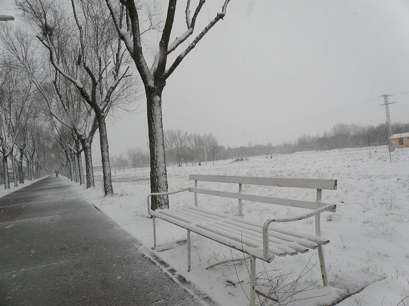 Nevada en Ávila