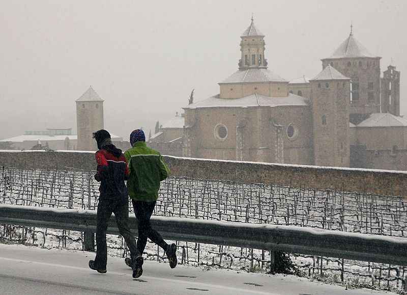 NEVADAS PROVINCIA TARRAGONA