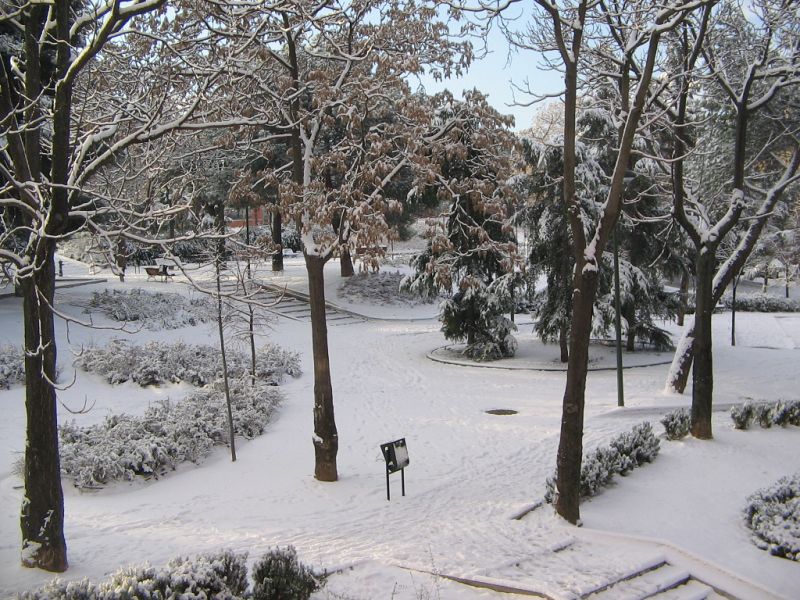 Les envío una foto de la nevada del día de hoy en Madrid. Así amaneció en mi barrio de Usera. Un saludo.