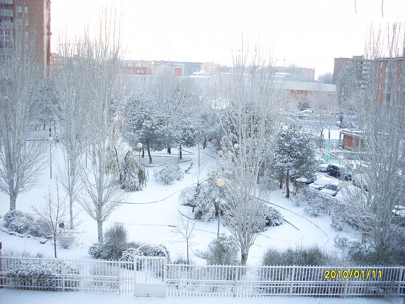 Esta es la nevada, que estuvo cayendo ayer en Torrejón de Ardoz(Madrid)