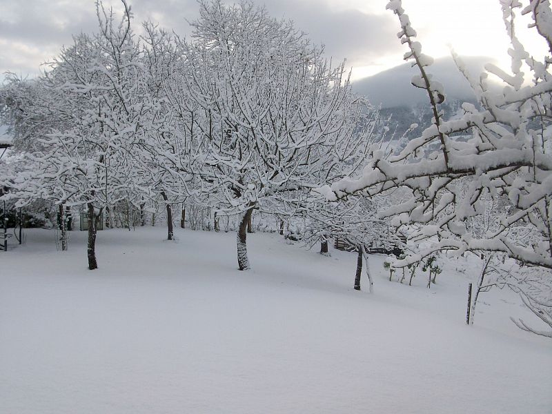 Foto sacada en Sienra, un pueblo de Ceceda,el cual pertenece al concejo de Nava en Asturias. Esta nevada es del día 9 de enero. En el lugar donde esta sacada la foto habia un espesor de 15 cm. de nieve, en algunas zonas se superaba esta medida.