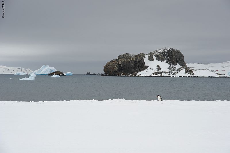 El cambio climático es una realidad y para prever cómo reaccionará el hielo del casquete polar antártico en el futuro es necesario saber cómo lo hizo en otros momentos de la historia.