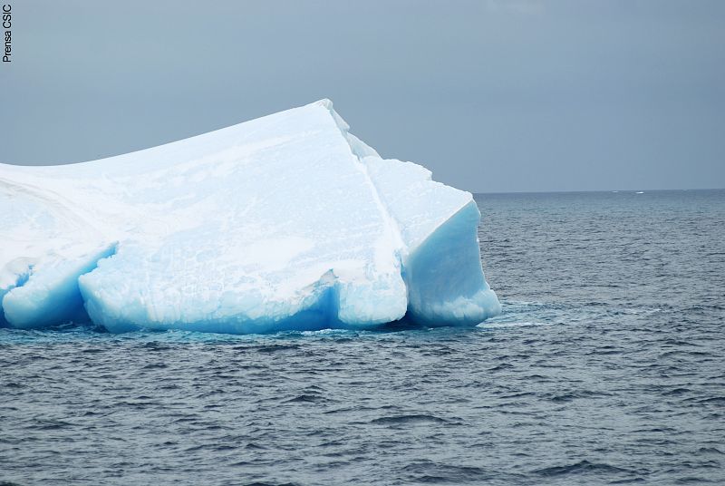 Carlota Escutia, geóloga del Consejo Superior de Investigaciones Científicas lidera una expedición que quiere estudiar el pasado de la Antártida para conocer su futuro.