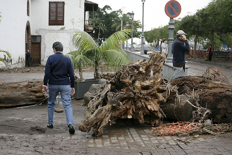 El director artístico del carnaval de Santa Cruz de Tenerife, Sergio García, camina por una calle llena de barro tras las fuertes lluvias.