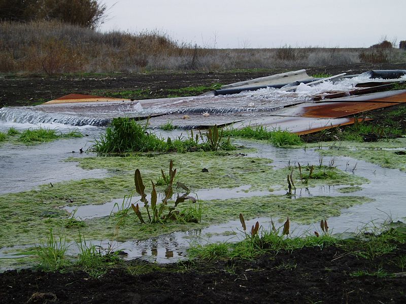Inundación en la zona cero donde empezaron los fuegos