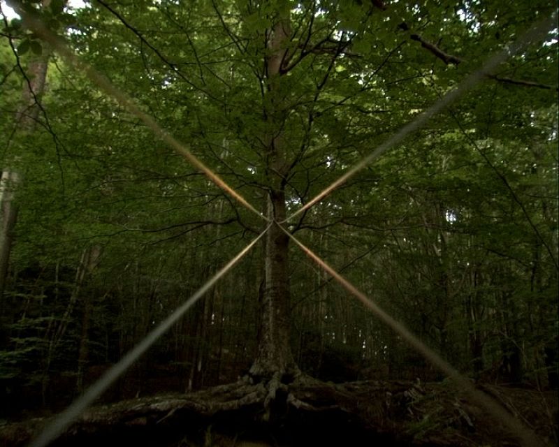 Cabecera de Metrópolis año 2007