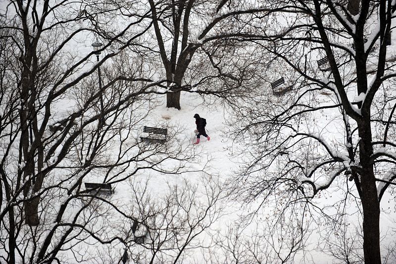 NUEVAS TORMENTAS DE NIEVE SOBRE WASHINGTON, DC, (EEUU)