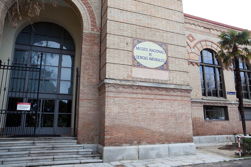 Este año se cumplen los 100 años desde que el Museo Nacional de Ciencias Naturales se instalara en el Palacio de las Bellas Artes y la Industria. RTVE.es ha dado un paseo por los lugares ocultos del museo. Ver la galería de fotos.