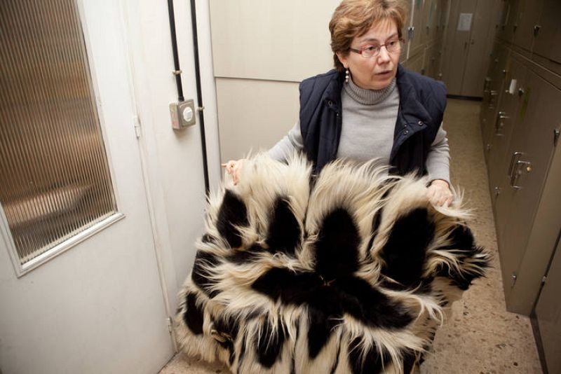  "También tenemos en este almacén requisas que la CITES nos deja en depósito mientras se esclarece si la tenencia del artículo es irregular". Nos enseña una manta hecha de pieles de monos colobo, animal protegido y en peligro de extinción. 