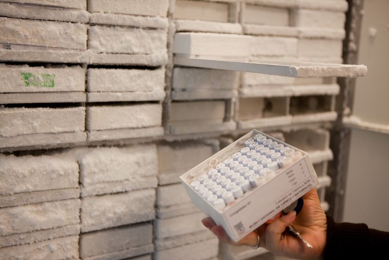 Llegamos al laboratorio donde se analiza el material genético, lo que informalmente llaman `el CSI del museo¿.