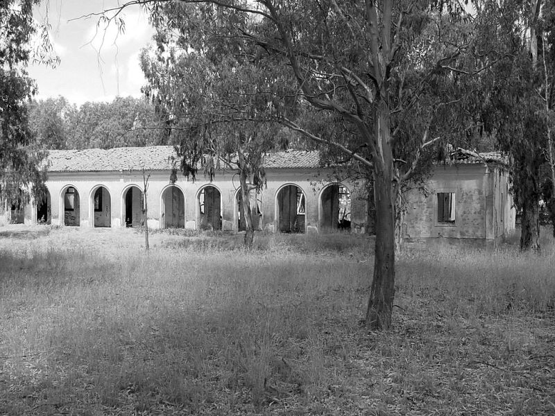 Volver con... Estopa a Zarza Capilla 16