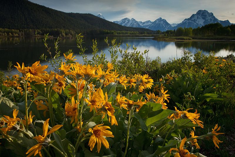 Fernando Ortega - PaisajeFotografía de un paisaje natural realizada por Fernando Ortega.