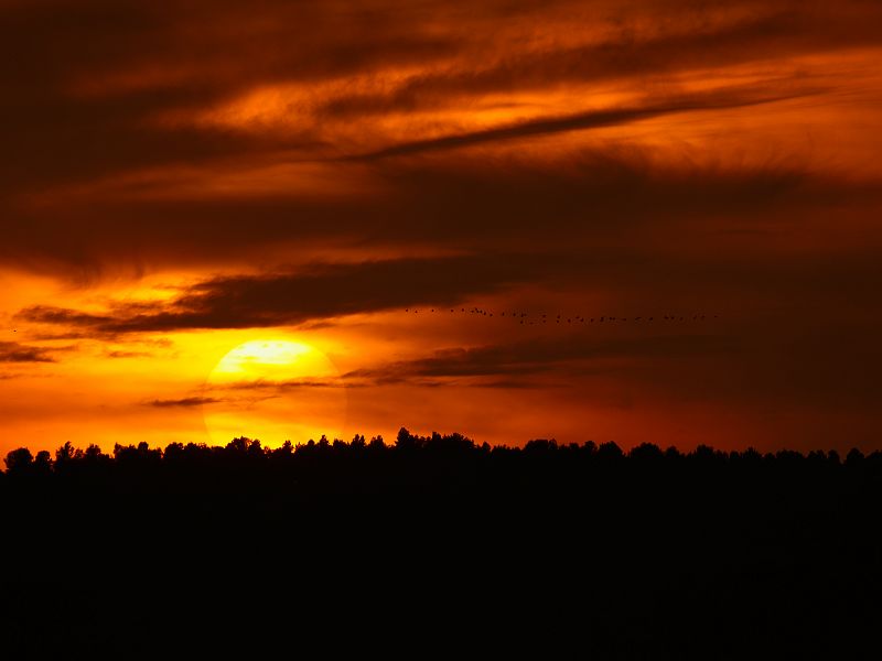 Manuel Silgo - Ocaso en el CampilloFotografía de Manuel Silgo en la que se aprecia un bello paisaje con una luz propia del atardecer