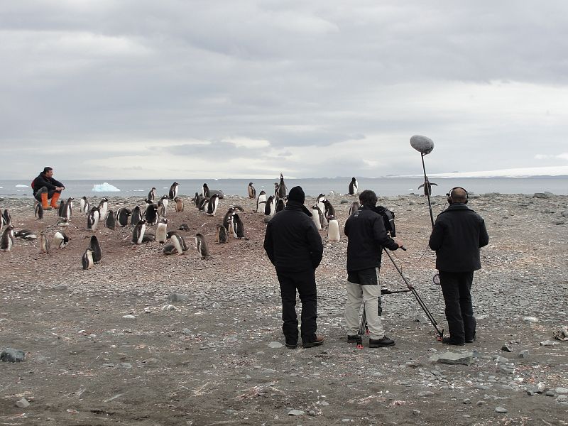 Caleta argentina con el experto en pingüinos Andrés Barbosa