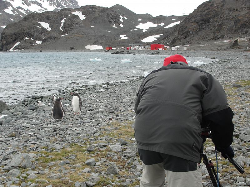 Nacho cerca de la base grabando a los pingüinos papuas