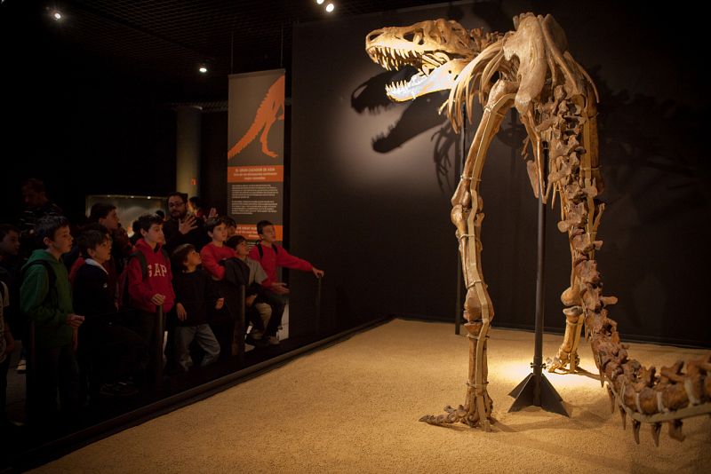 Cientos de niños visitan al día la exposición la `Dinosaurios. Tesoros del desierto de Gobi¿ en Cosmocaixa en Madrid.