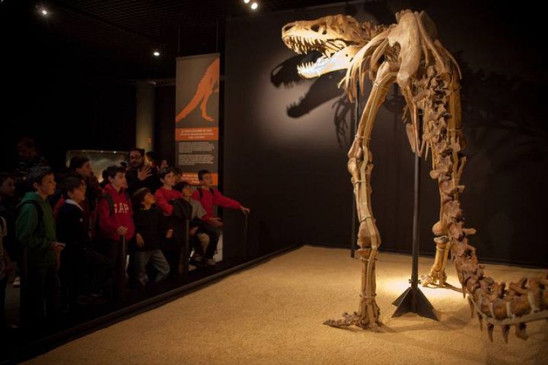  Cientos de niños visitan al día la exposición la `Dinosaurios. Tesoros del desierto de Gobi¿ en Cosmocaixa en Madrid.