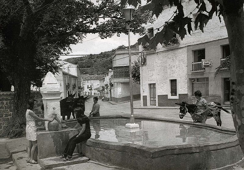 Placeta con jóvenes cogiendo agua