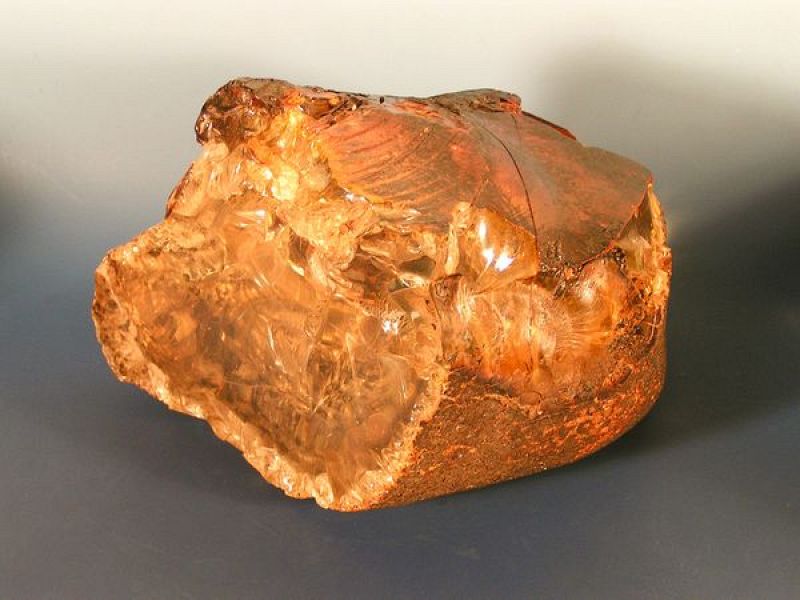 "Este ámbar etíope es de una gran importancia para mejorar nuestro conocimiento de la historia evolutiva de los artrópodos terrestres, las plantas y los hongos", explica en su informe el grupo de científicos