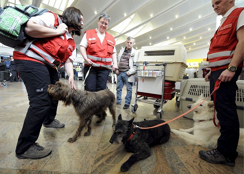 Trabajadores de la Cruz Roja que tenían que viajar a Ammán con sus perros rastreadores, también se han visto afectados por las restricciones al tráfico aéreo y esperan nuevas noticias sobre sus vuelos en el aeropuerto Viena-Schwechat.