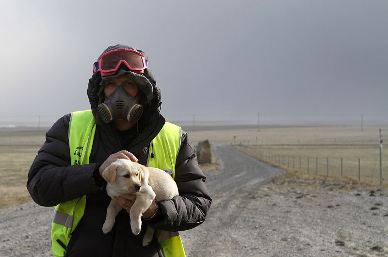 A member of the Icelandic Civil Defense carries a puppy as residents in the town of Eyjafjallasveit prepare to evacuate