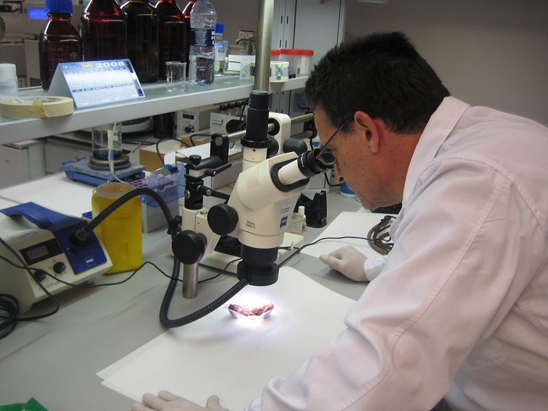 Laboratorio de Toxicología de la Guardia Civil