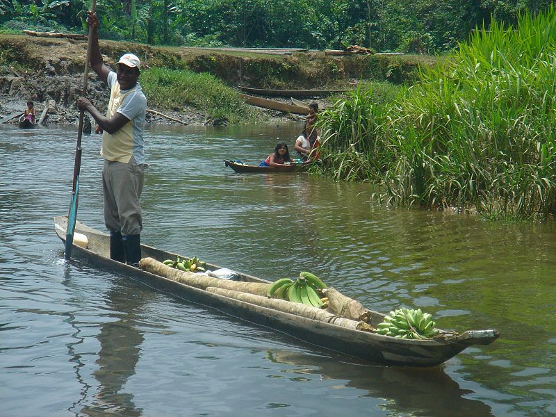 La panga es el vehículo de los colombianos en el Chocó, una región selvática y pantanosa