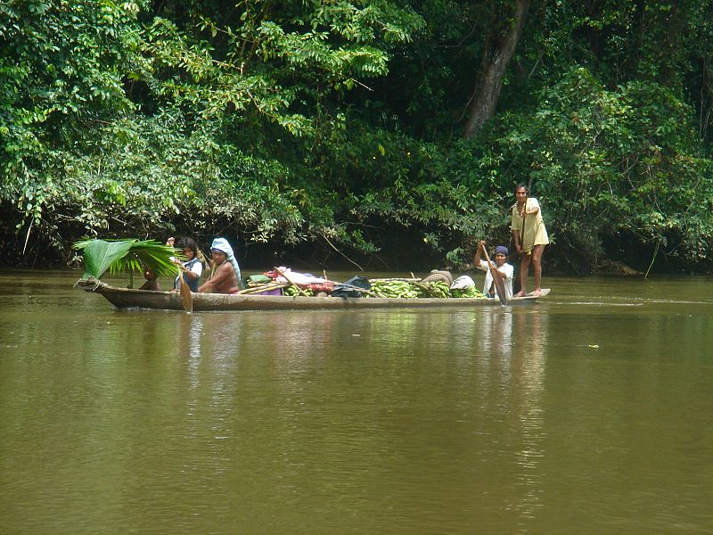 Las familias siempre utilizan sus pangas