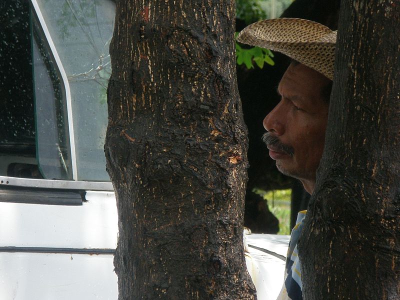 Colombia sufre el conflicto armado desde hace décadas