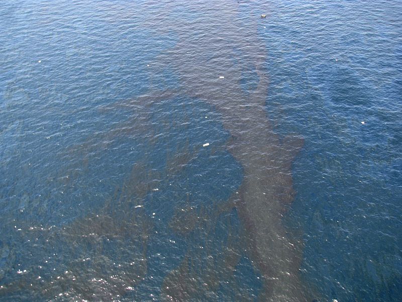 La plataforma se hundió dos días después. La fuga, que ha creado una enorme mancha negra que podría alcanzar la costa norteamericana durante el próximo fin de semana, está dejando escapar al mar el equivalente a unos 5.000 barriles diarios de crudo.