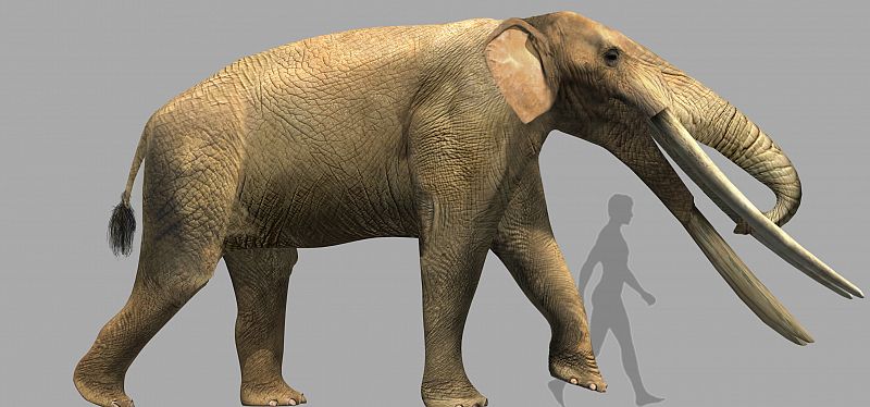 Proceso de reconstrucción de un mastodonte