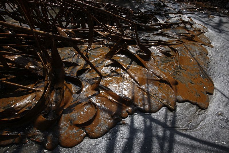 El vertido de petróleo en la orilla del río Missisippi a su paso por el sur de Lousiana