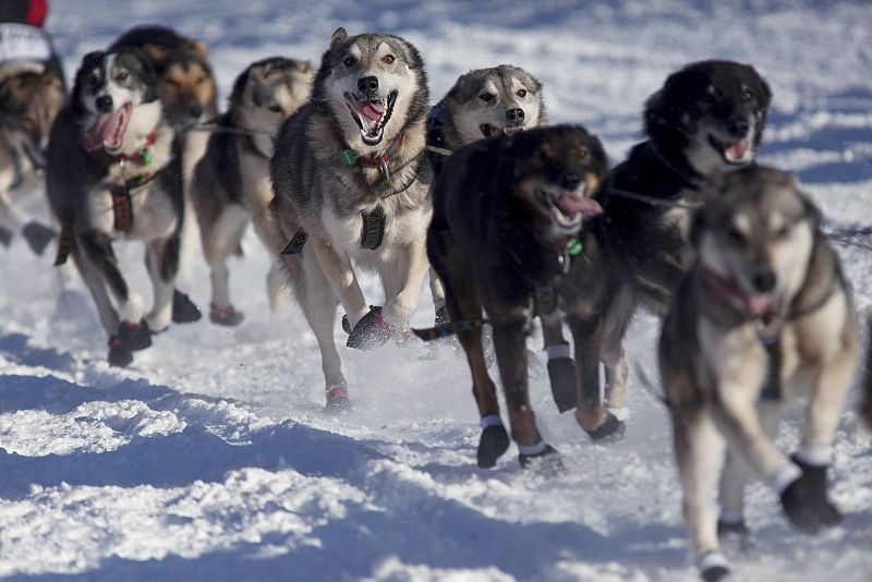 Un equipo en movimiento